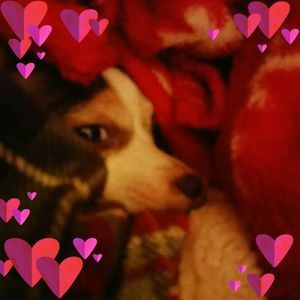 Meet your Posher, Kay